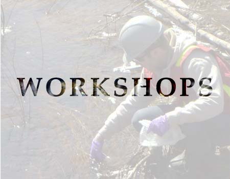 Blue Herons list of Environmental Workshop Courses