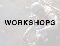 Blue Herons list of Environmental Workshop Courses