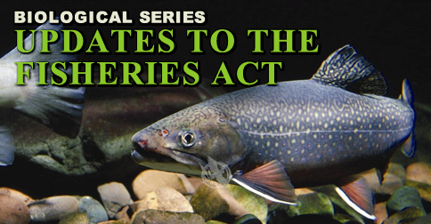 Updates to the Fisheries Act