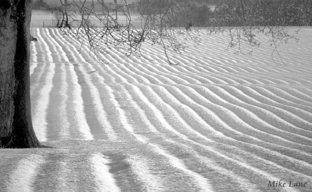 Furrows in the Snow by Mike Lane