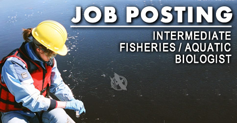 Job Posting - Intermediate Fisheries/Aquatic Biologist