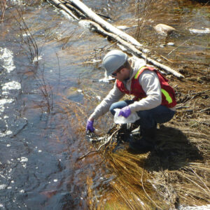 Stream - Surface Water Sampling
