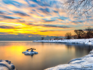 Cold Dawn