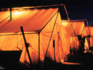 Midnight at Camp