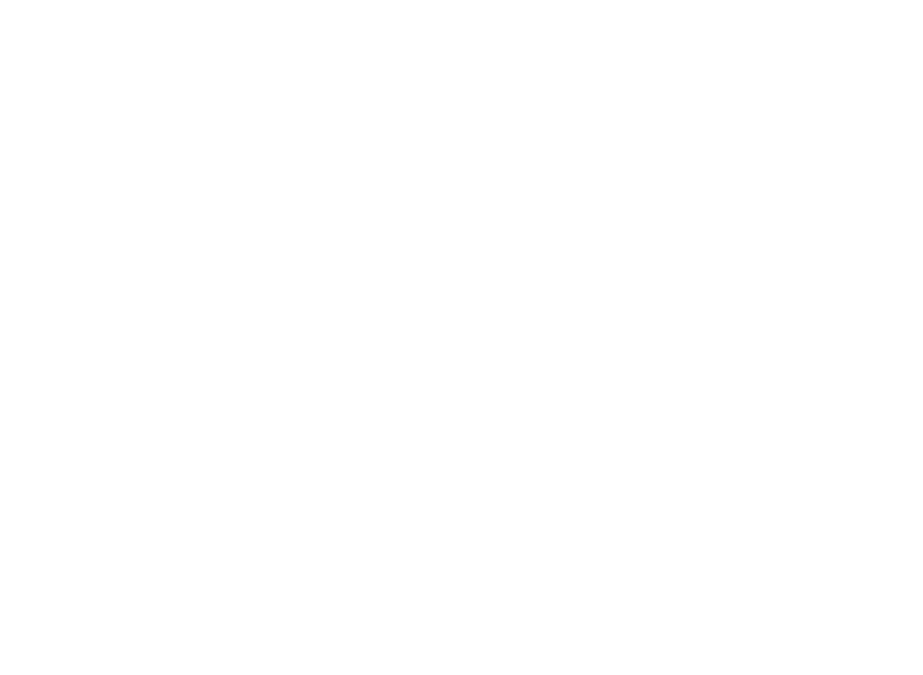 Blue Heron Environmental Logo