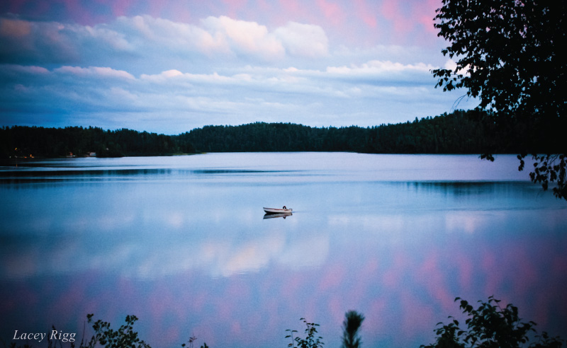 Summer Fishing Summer Fishing by Lacy Rigg