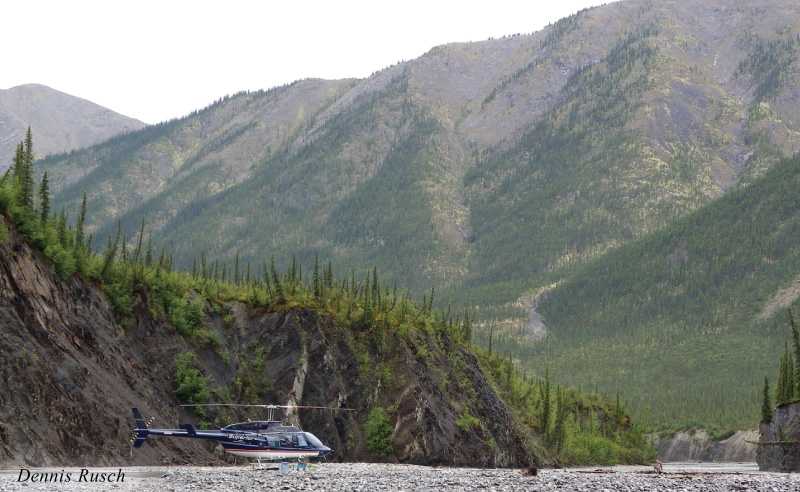 Wrigley Creek Electrofishing Wrigley Creek Electrofishing by Dennis Rusch