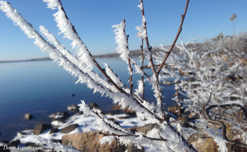 Winter is Coming Winter is Coming by Dana Lajeunesse