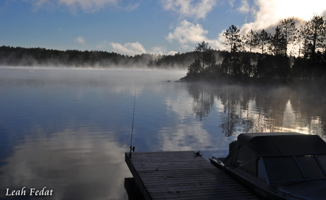 Morning Mist Morning Mist by Leah Fedat
