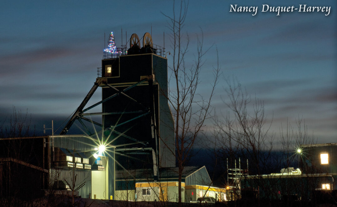 Early December Morning Early December Morning by Nancy Duquet-Harvey