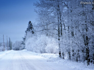 Frost on Little Road by Francis Gaudet