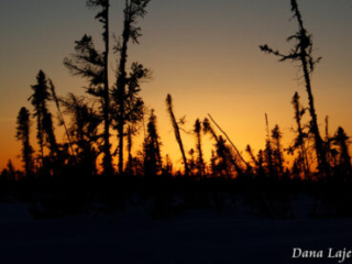 50 Shades of Dusk by Dana Lajeunesse 