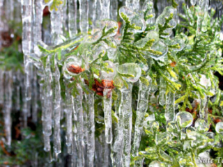 Flash Freeze by Nathan T