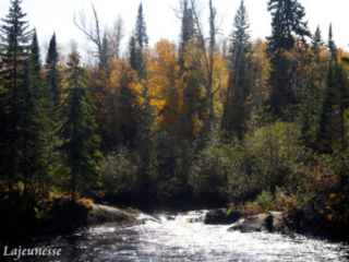 Autumn Rapids by Dana Lajeunesse