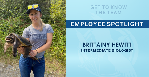 BHE Spotlight: Brittainy Hewitt