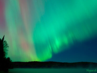 Northern Lights on Misty Lake