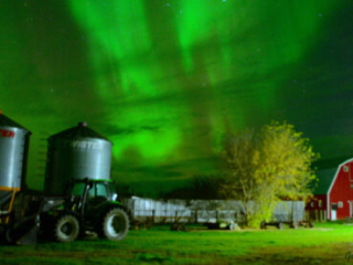 Northern Lights on the Farm