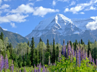 Beautiful Mt. Robson