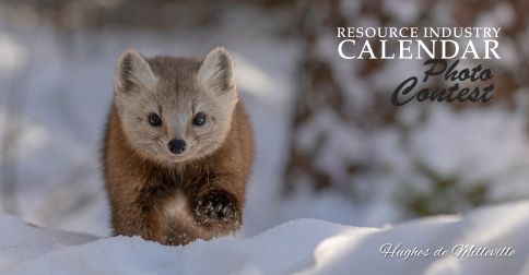 2026 Calendar Contest Winners