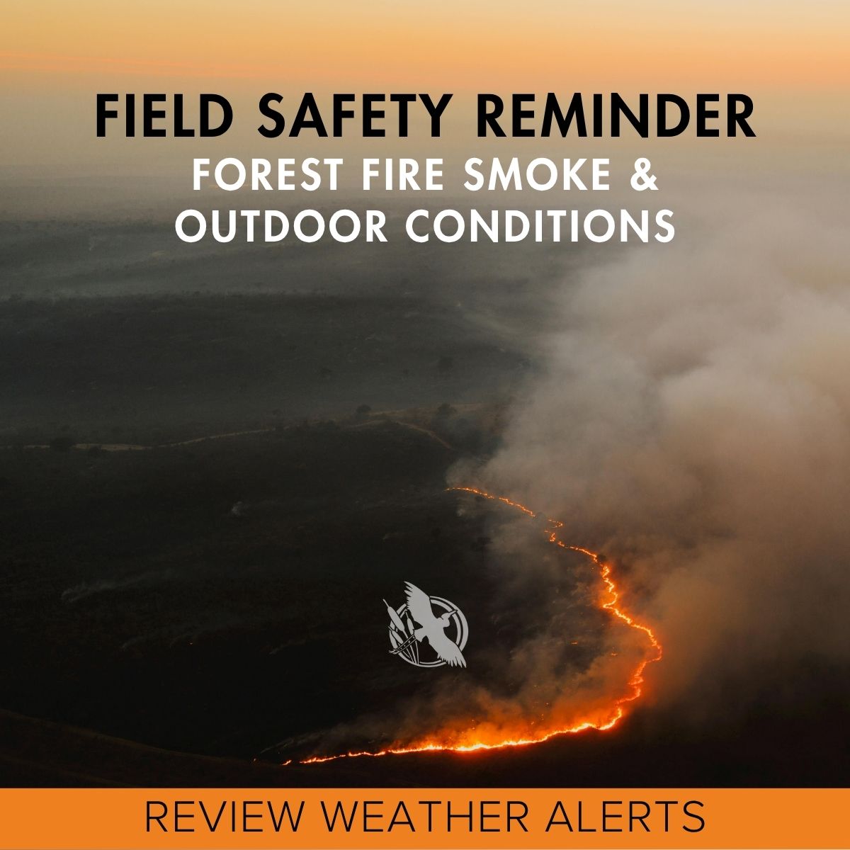 warning-forest-fire-smoke-1200px