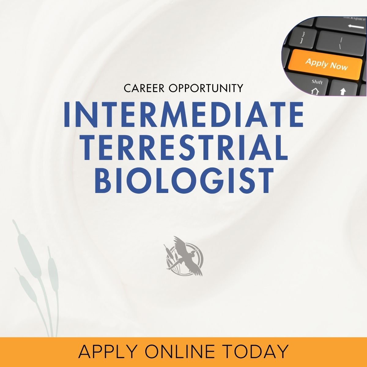 Employment Opportunity: Intermediate Terrestrial Biologist Zoe Monet, Junior Biologist employee spotlight
