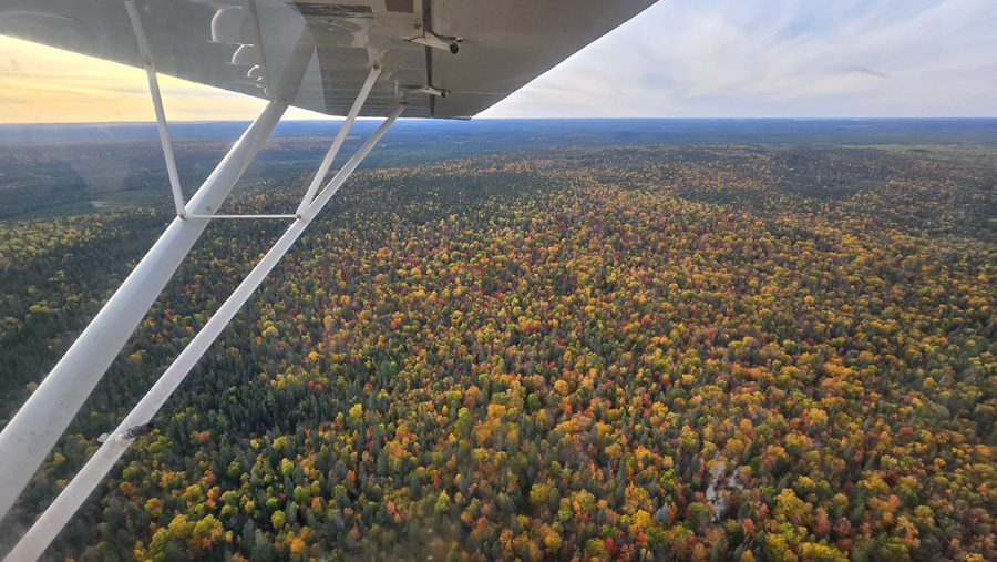 Northern Ontario Fall Fly-Over