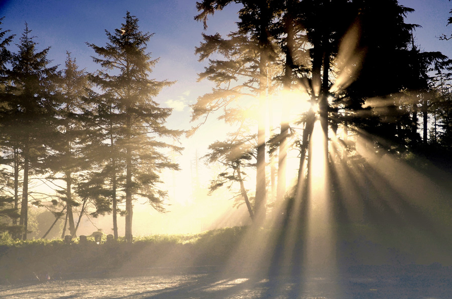 Morning Sun