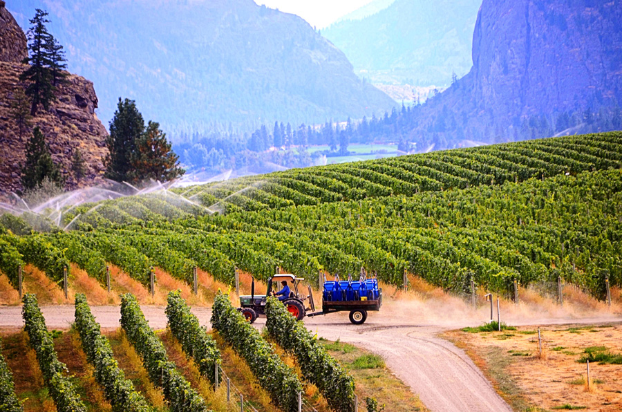 Fall is Harvest Time