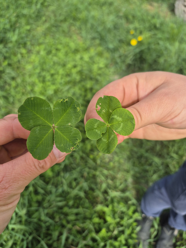 Lucky day