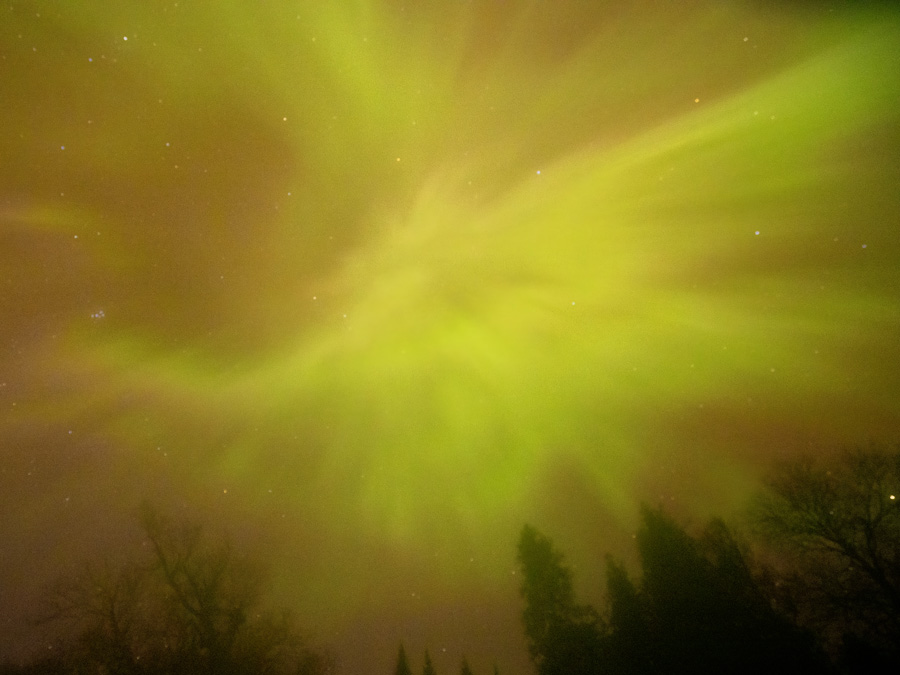 Northern Lights Algonquin Park