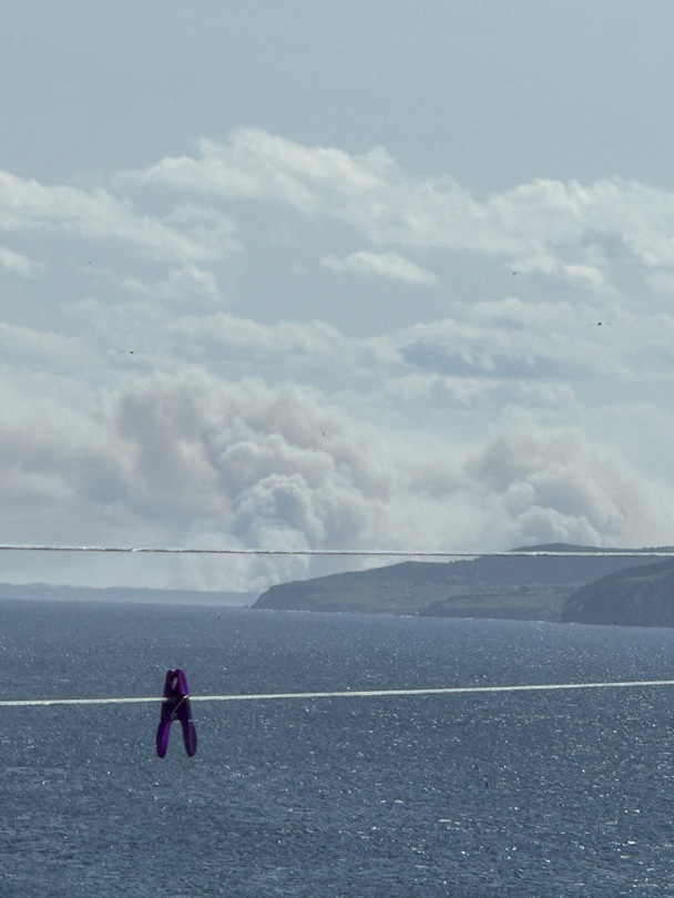 Wildfire up in conception bay north