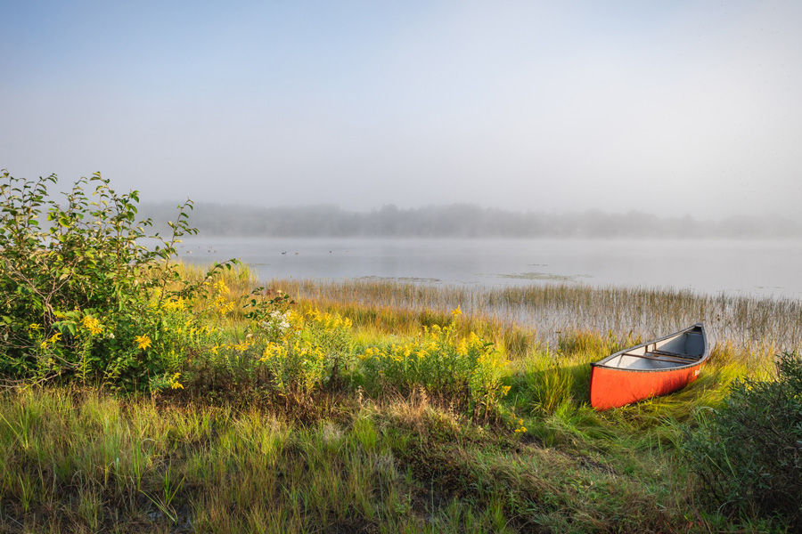 Paddle at Dawn