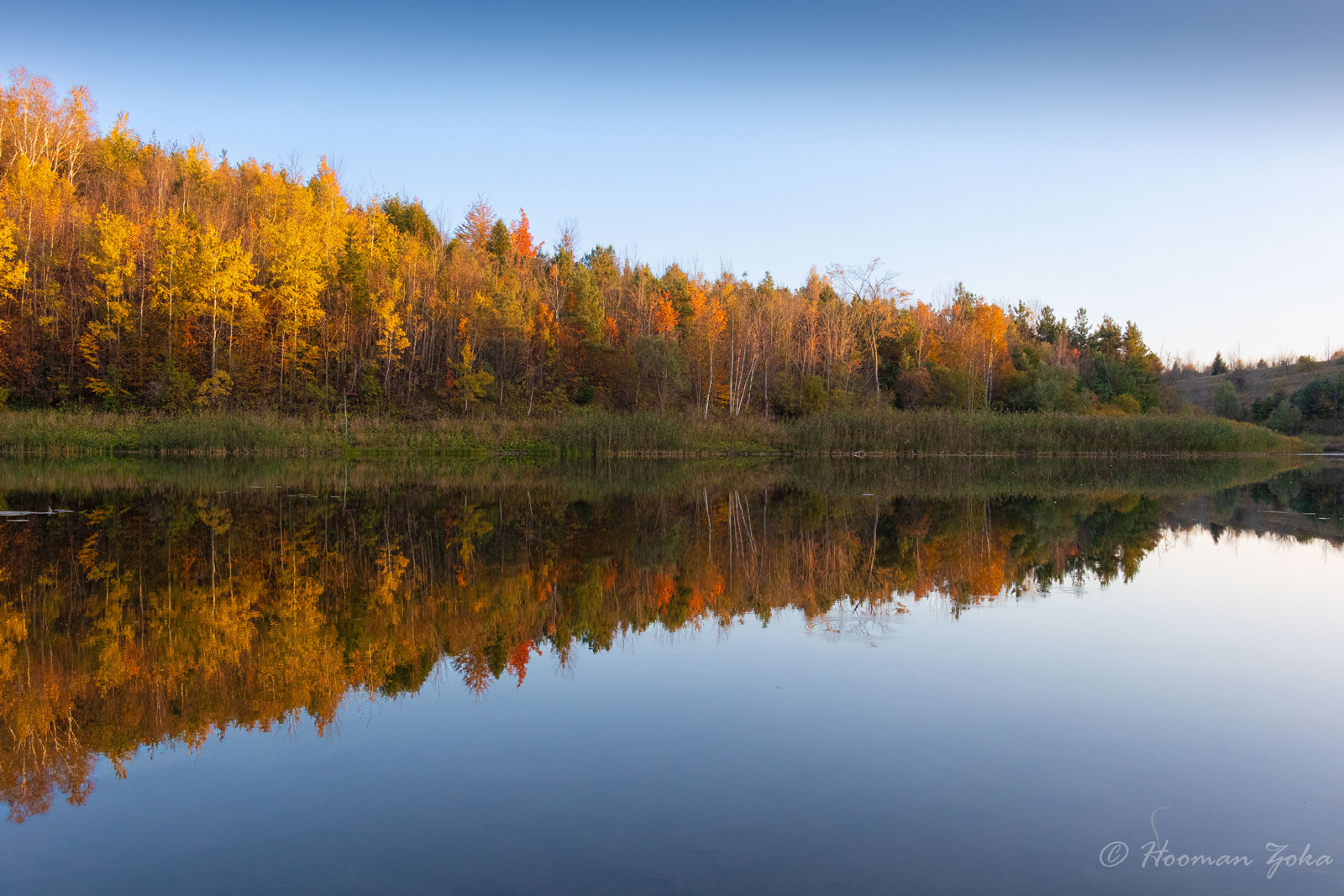 Autumn Reflection