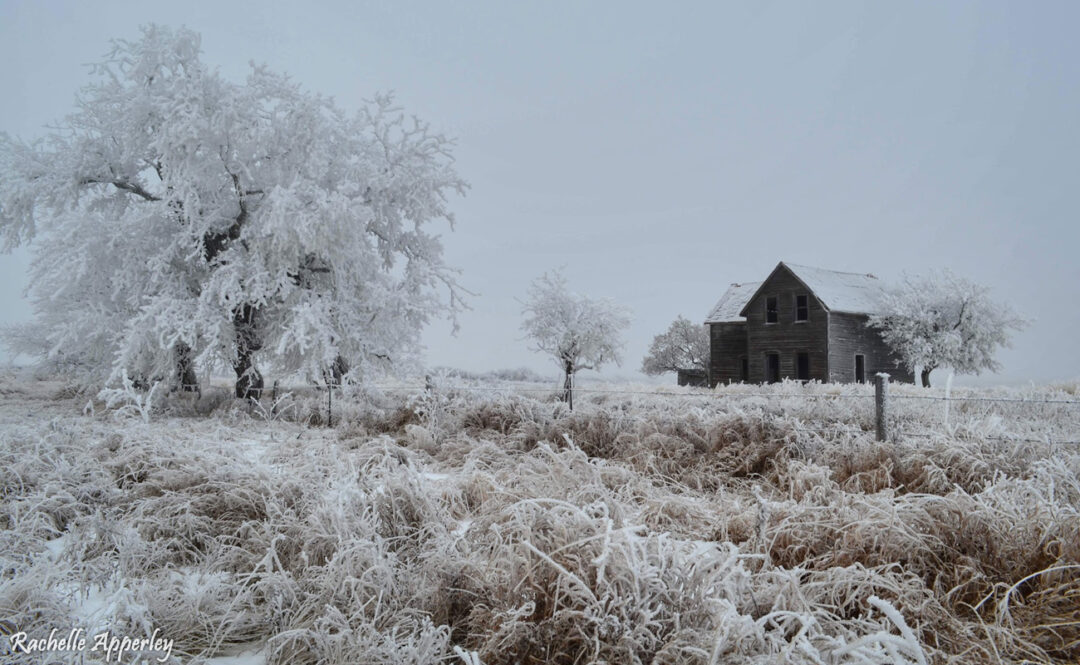 A Forgotten Homestead